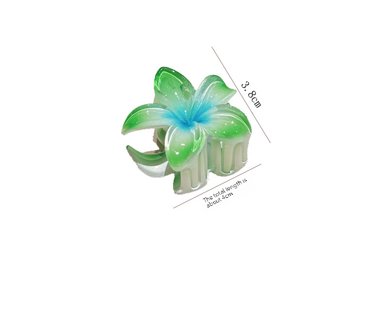 Candy-colored egg flower hair clip female Net red super fairy small size updo hair clip temperament shark clip hair clip headdress wholesale_voghion.com