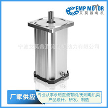 ��ӦAGVֱ����ˢ��� 310Vֱ����ˢ��� ����ֱ����ˢ���