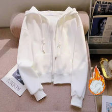 СӺsɫBñlŮﶬ2025¿ӽqӺ@݌_