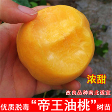 �Ҙ����ʳǷ��Ҙ���ˮ���Ҙ����S�Ҙ��箔��Y���ϱ����Nֲ����