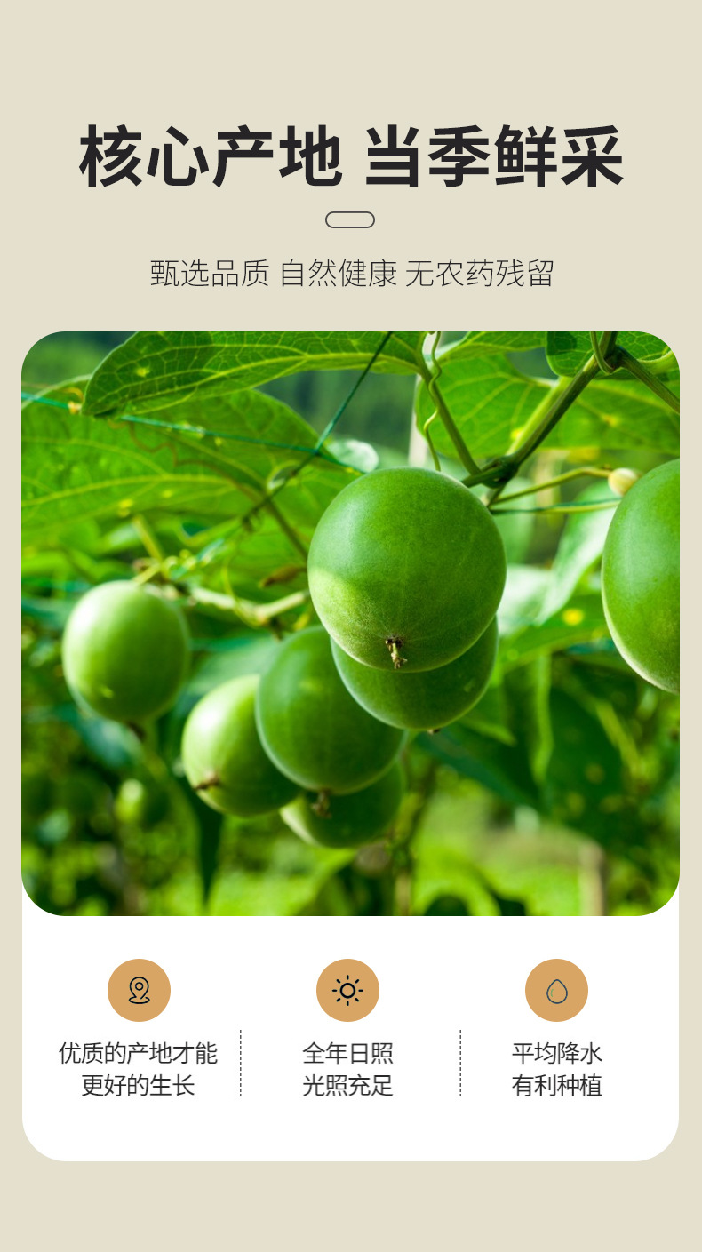 Luo Han Guo Monk Fruit Tea 500g Low Temperature Dried Whole Fruits for Herbal Infusions quality and texture