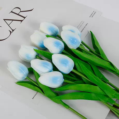 White background blue