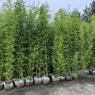 �F���ؑc�ɶ��_�h������_�h�������_�h�����l�_�h�������_�h���N