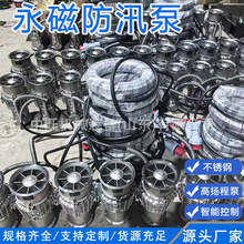 便携式永磁泵高扬程永磁变频轴流泵永磁防汛潜水泵