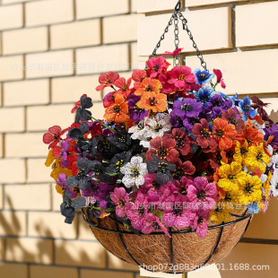 ���R�d�������滨����T�b�����@������_�m�������滨�b�Ʒ