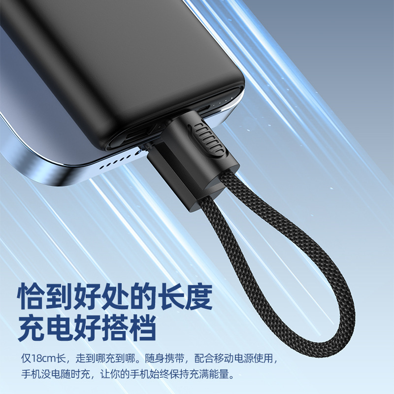挂绳钥匙扣双Type-C充电线适用苹果15挂绳PD超级快充手机数据线|undefined