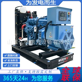 柴油发电机组;自吸泵;排灌机械