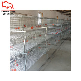 元宝肉鸡笼 肉鸡饲喂笼具 养鸡笼子 鸡用成长笼 畜牧养殖设备-阿里巴巴