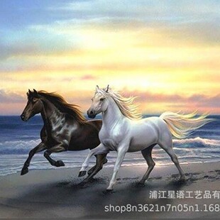 Foreign trade new 5D Diamond painting cube round diamond full Diamond Horse Sunset Sea black white horse Amazon hot wholesale