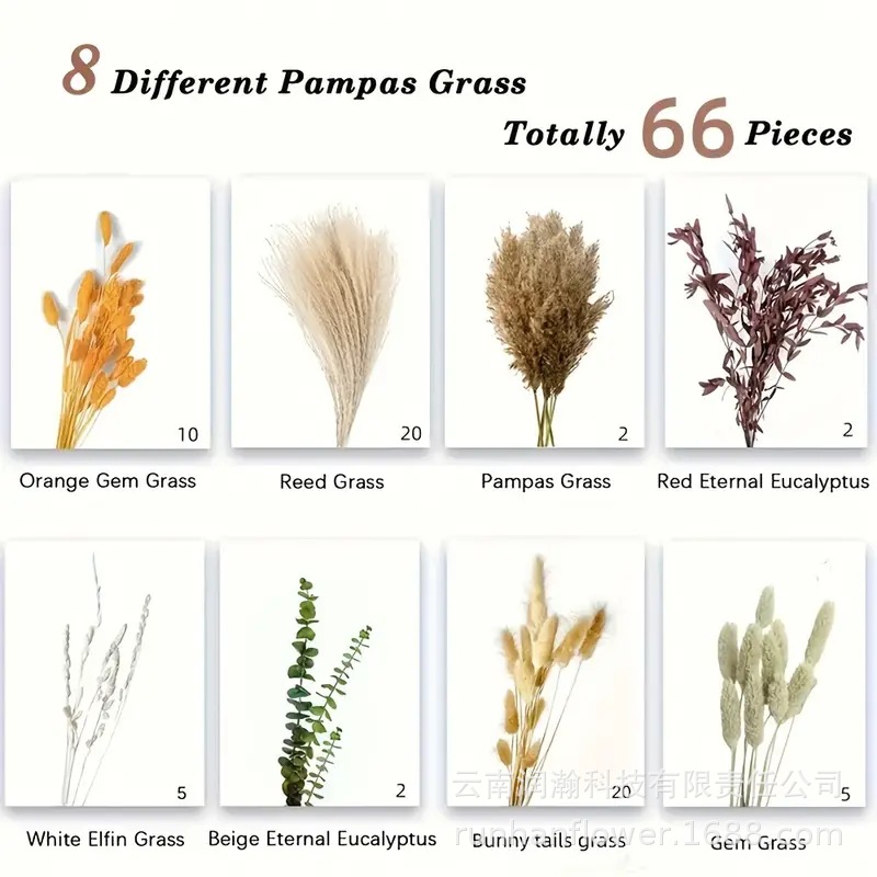 조합 66-(상자 없음)