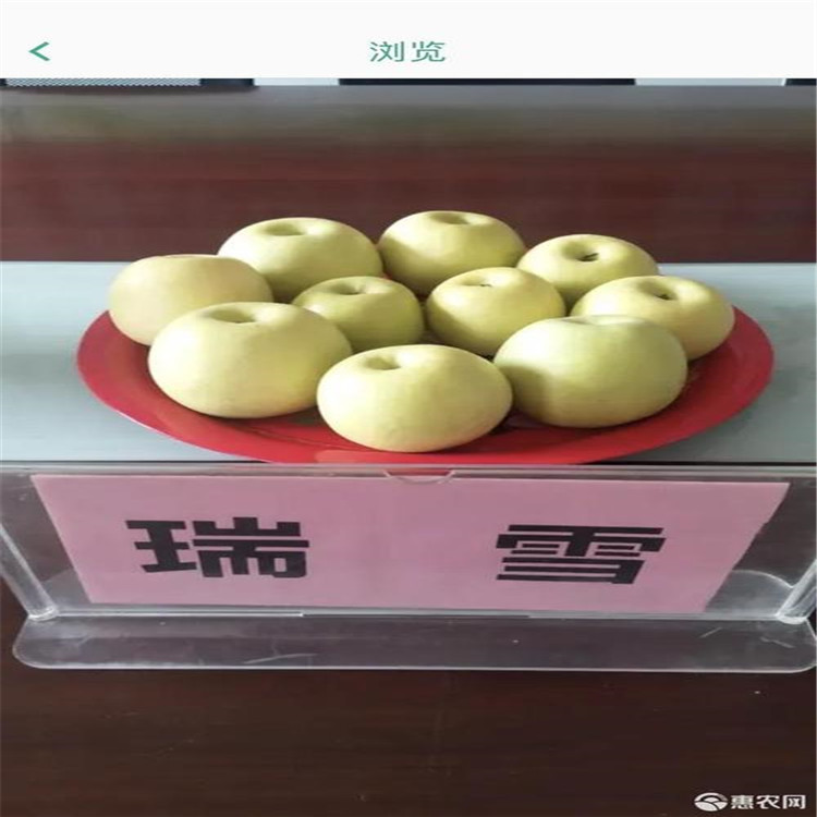 u=2887712913,3942386736&fm