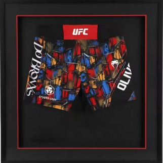 Cross-Border Popular Men's Quick-Drying Shorts Ufc Fitness Sports Breathable and Comfortable Sweat-Absorbent Shorts Wrestling Boxing Shorts