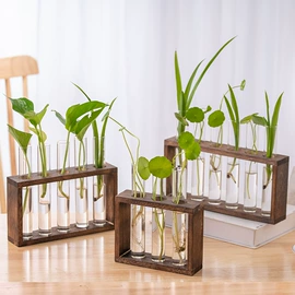 玻璃工艺品;装饰花瓶;水培植物瓶