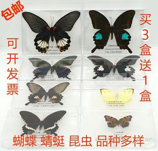 �����˱���Ȼ��������x�˱��Ĕz���� DIV�W���̌W�J֪չ������b