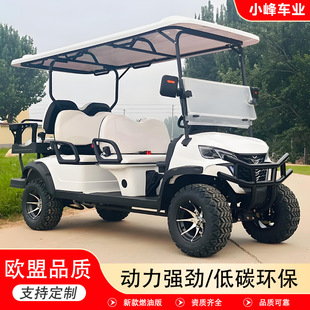 Golf Cart Fuel Model Scenic Spot Sightseeing Shuttle Hotel Factory Area Patrol Reception Golf Cart
