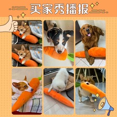 狗狗玩具自嗨解悶神器胡蘿蔔磨牙耐咬發聲金毛柯基寵物狗小狗用榕