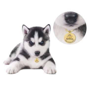 Puppy Keychain