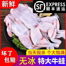 ţ�����r�r��F���ك�ȥƤţ����ʳ�ġ���S��朰l؛���S�����l�o