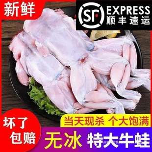 ţ�����r�r��F���ك�ȥƤţ����ʳ�ġ���S��朰l؛���S�����l�o