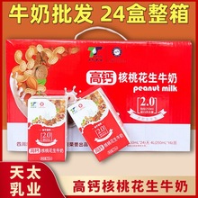牛奶整箱250ml*24盒高钙核桃早餐奶送礼婚庆牛奶饮品饮料厂家批发