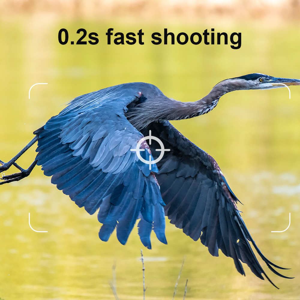 Quick Focus