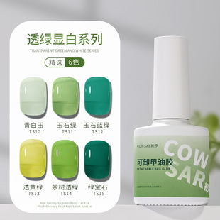 ͸�Gɫ�����z2024���¿�С��ϵ��͸��ɫ�@��ī�Gɫ���ɾG�������b