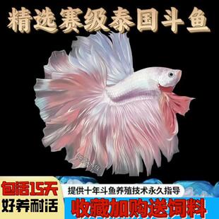 ̩�����~�鼆�~�^�p�~��ˮ�~�Ꭷ�~���挙����w���B����Y��