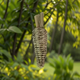 鸟笼;鸟类;兔子主粮