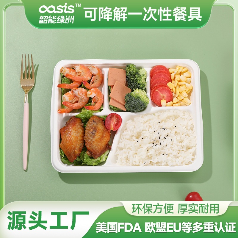 Plato de cinco compartimentos de pulpa de caña de azúcar y pulpa de bambú Shaoneng Oasis, vajilla desechable ecológica, biodegradable, compostable, portátil.