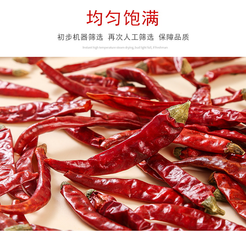 Devil Chili Dried Peppers (Capsicum chinense) — Extra Hot Hunan Red Chili, 500g Bulk in use