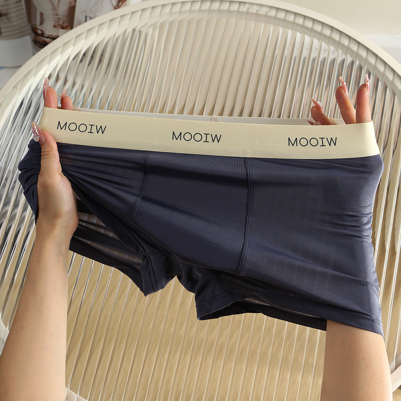 Ropa interior de seda de hielo para hombre, antibacteriano, pantalones de cuatro esquinas para hombre, ropa interior bóxer transpirable para adolescentes delgada de verano, hombres