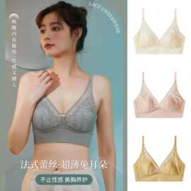 超薄兔耳朵性感蕾丝美背大胸显小聚拢防下垂侧收副乳无痕裸感套头