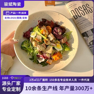 定制泼墨碗陶瓷日式大容量brunch大深盘沙拉拌饭碗好看泡面碗汤碗
