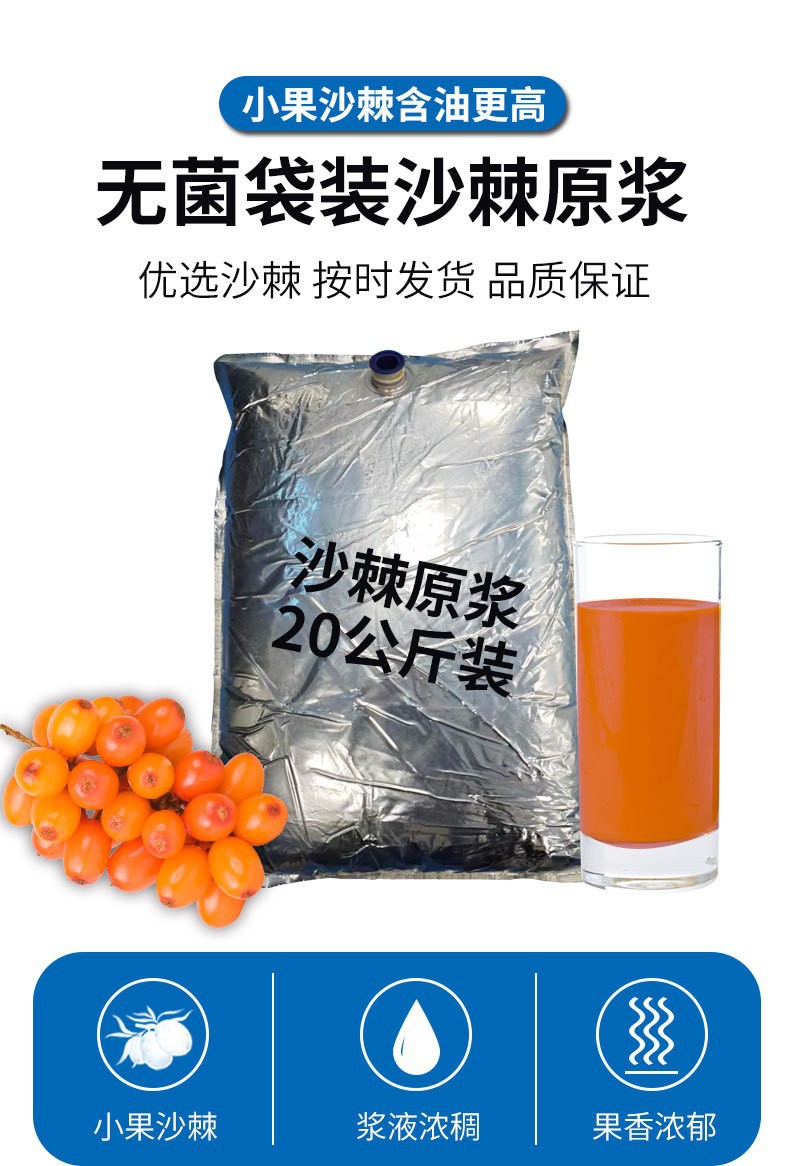 Wild Sea Buckthorn Juice Puree 20kg Bulk Bag Inner Mongolia Sour Berry Pulp overview