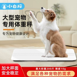 体重秤;智能体重秤;厨房秤