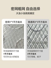 ���ܾW����С��ˮ���Ӽ��w�x���ù�ω������x��Сҧ����ĳ��