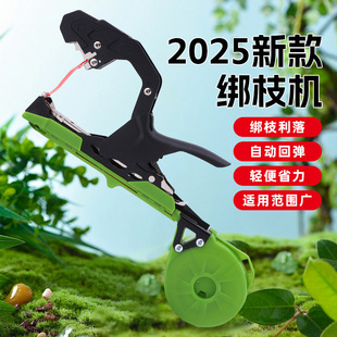 2025�¿����ѽ�֦�C���������C�z���Ϲ��ք����������ѽ����C