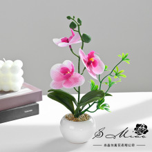 ����ٻ����^�����m�����辰����Gֲ����[�����滨�x����������