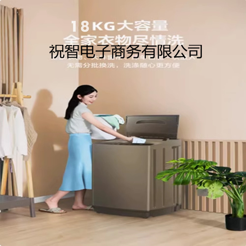 志高全自動洗濯機 10kg 家庭用小型波輪式大型レンタル住宅向け温風乾燥洗濯乾燥一体型|undefined