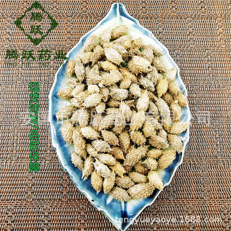 Cang Er Zi Dried Xanthium Fruit Whole Form Traditional Chinese Herb 500g Bag key features