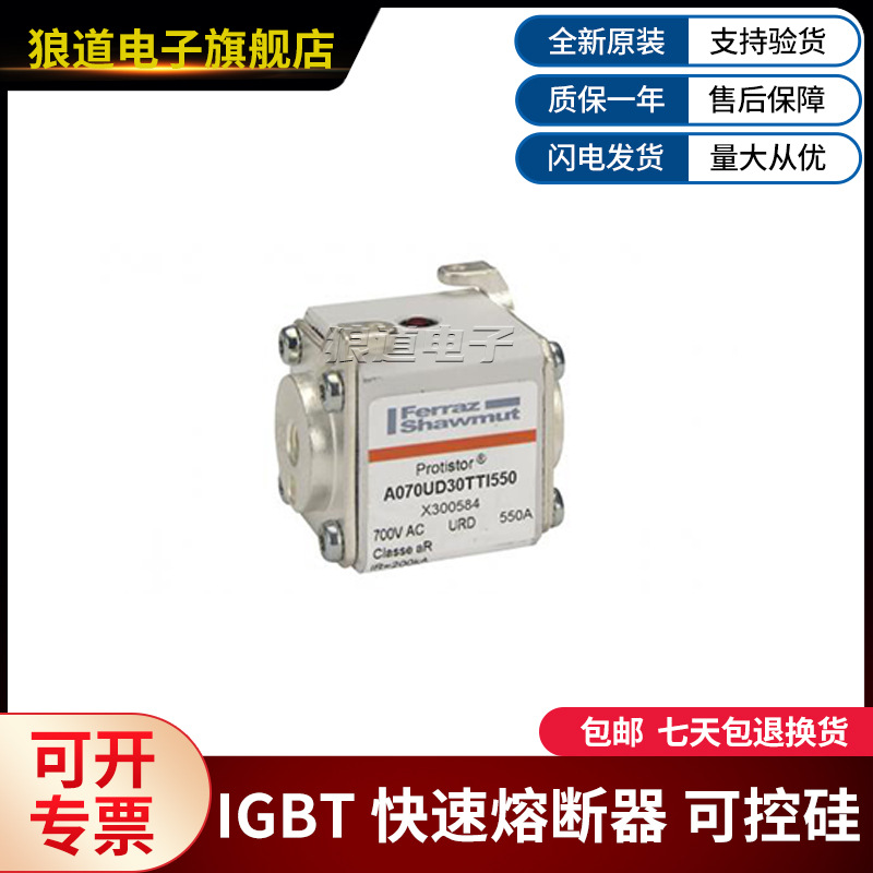 A070UD30TTI550 X300584法国罗兰熔断