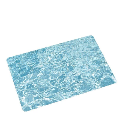 Avtomobil döşəmə paspasları – Earth Bathroom Mat, Water-Absorbent