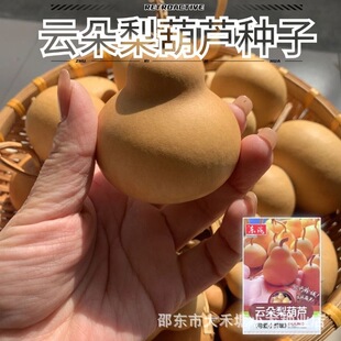 녶�����J�N�������ֶ�С���J�N��С����������J�����̨�Nֲ��
