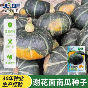 �x�����ϹϷN����Ʒ�N�|���C�ϷN���������GƤ�S��Ϲ��N���ѷN