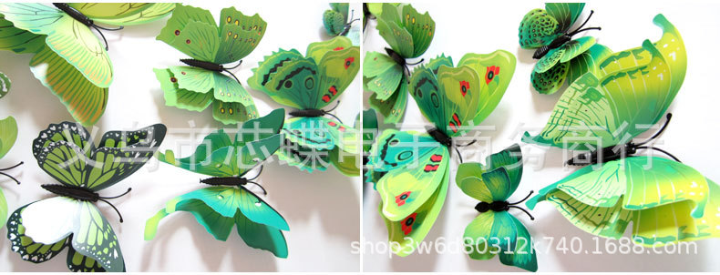 双层蝴蝶描述_14.jpg