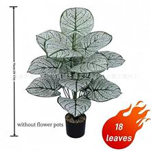 ����ֲ��״T�~���� �͏d��ؔ[���Gֲ�٘� �S��ֱ������r��