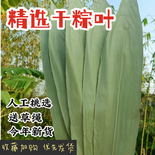 Large Dried Zongzi Leaves Tutorial for Beginners to Learn How to Make Authentic Wild Zongzi Leaves with Rope for Dragon Boat Festival Zongzi