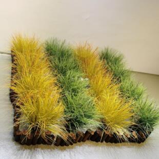 �Ѳݾ��ݱRȔ�ݱ��W�Gֲ�ٲ��b��҃ȸɾ��쾰�ٲ݅��ݶ�[��