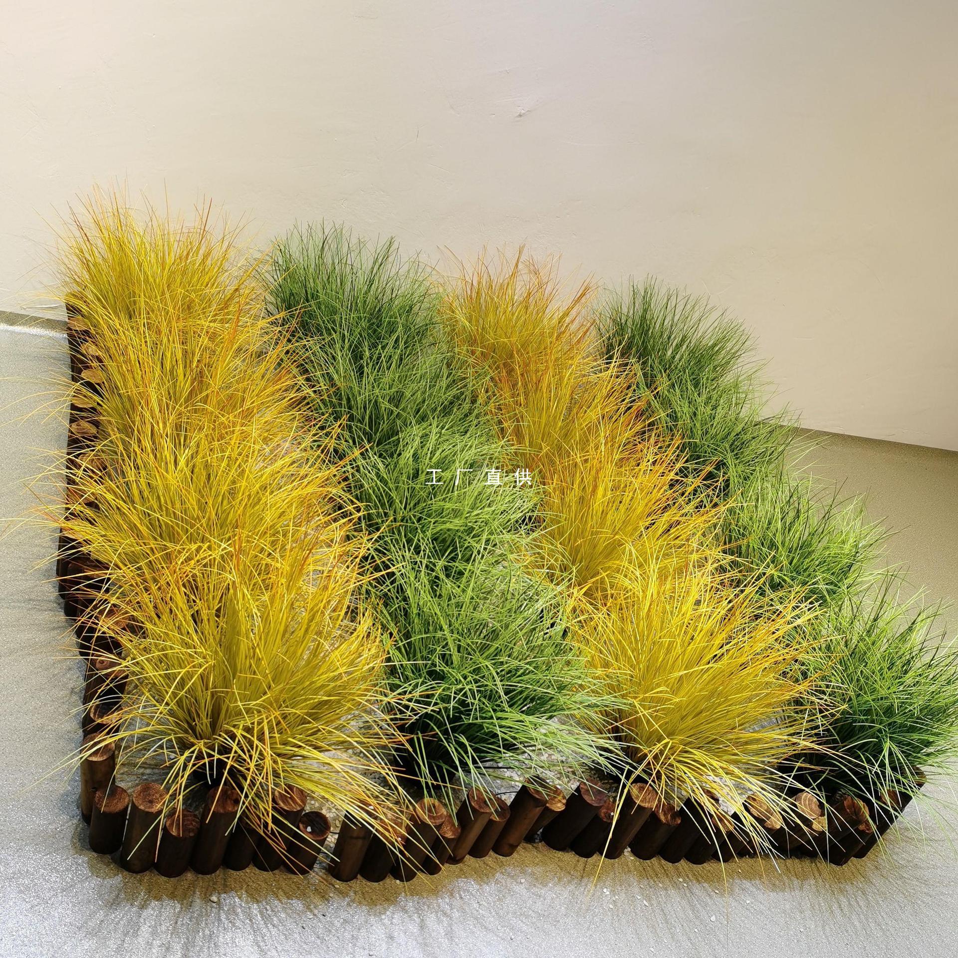 蒲草卷草卢苇草北欧绿植假草装饰室内干景造景假草丛草垛摆件