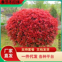 һlt~ʯ骼t^ľɭŮؑ;G̘@քeͥԺ